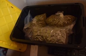 Leitsinger Anderson Property Evidence