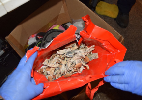 Leitsinger Anderson Property Evidence